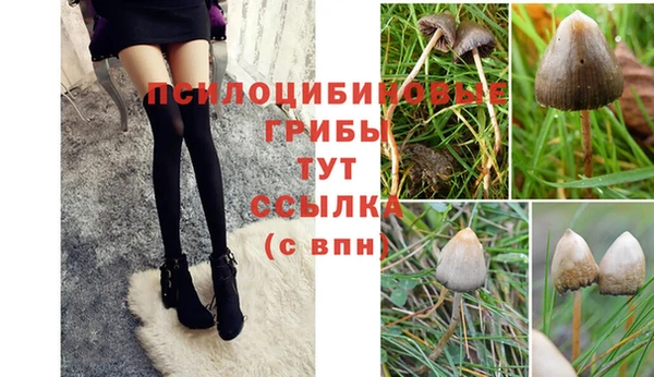 эйфоретик Белокуриха