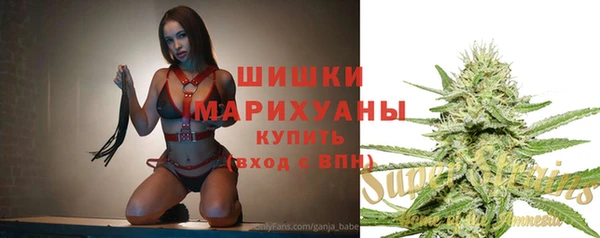 PSILOCYBIN Балахна